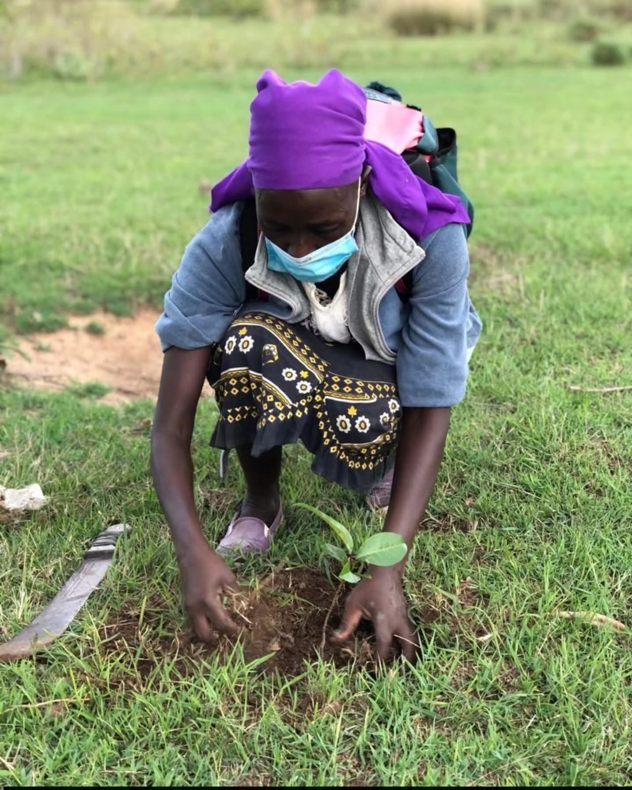 Tree planting initiative